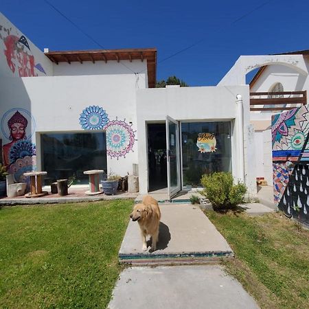 بيت شباب Roots Backpackers Rada Tilly المظهر الخارجي الصورة