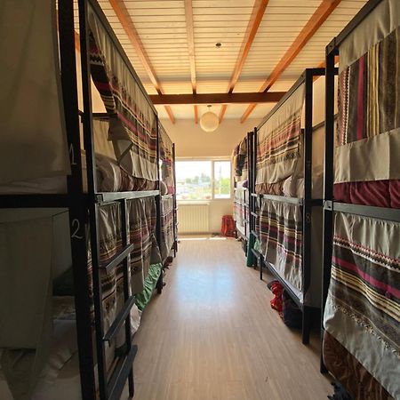 بيت شباب Roots Backpackers Rada Tilly المظهر الخارجي الصورة