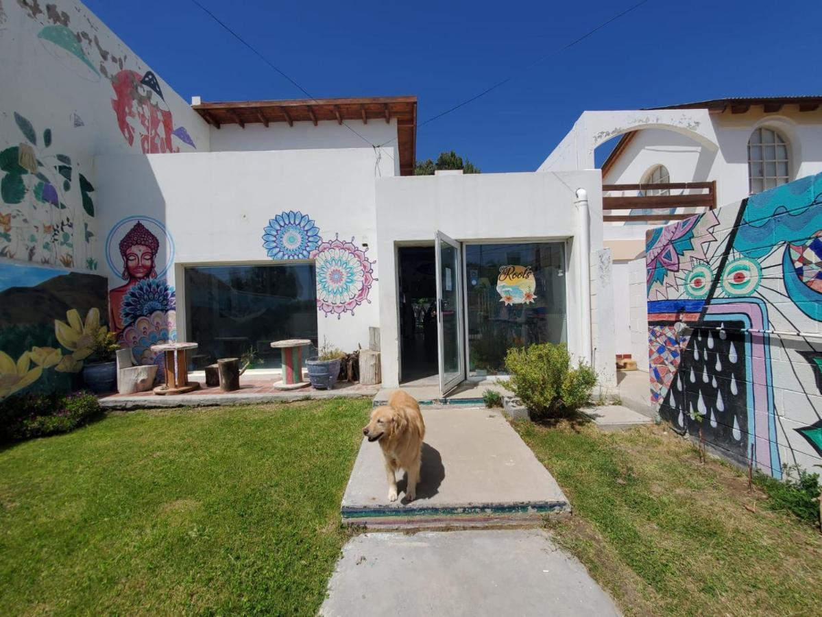 بيت شباب Roots Backpackers Rada Tilly المظهر الخارجي الصورة