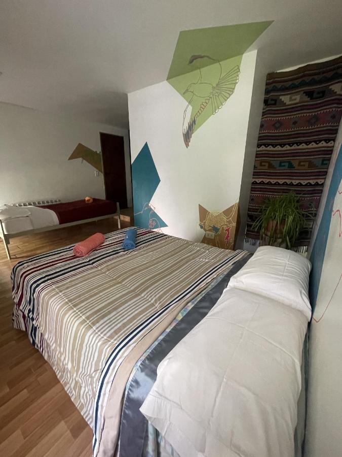 بيت شباب Roots Backpackers Rada Tilly المظهر الخارجي الصورة