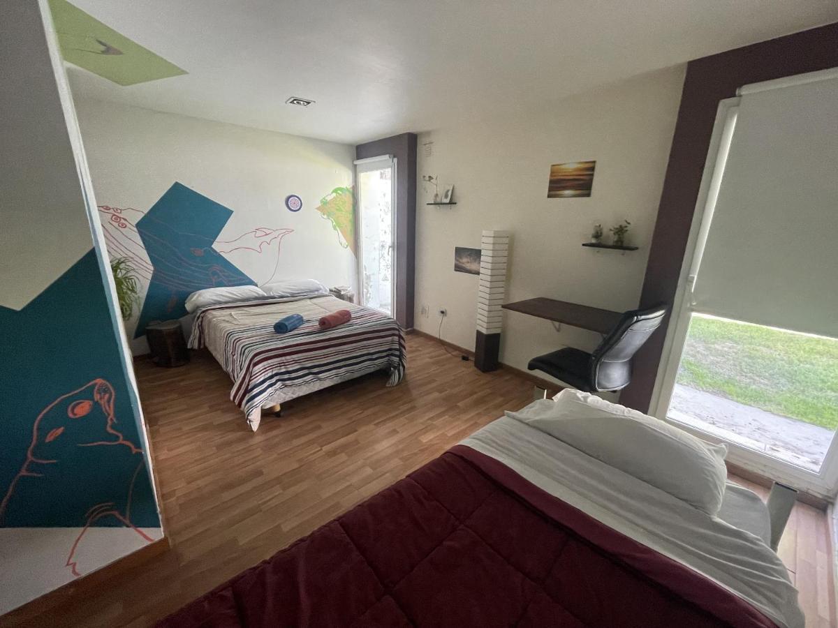 بيت شباب Roots Backpackers Rada Tilly المظهر الخارجي الصورة